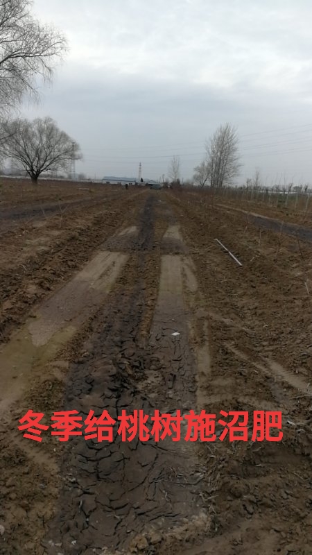 微信圖片_20200302185124.jpg