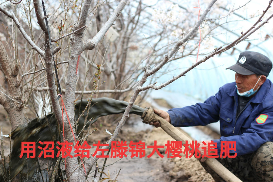 微信圖片_20200302185135.jpg
